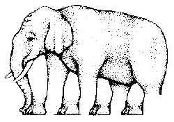 Hány lába van az elefántnak?